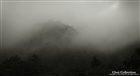 dailyPhoto11
