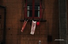 dailyPhoto37