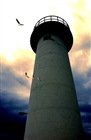 dailyPhoto35