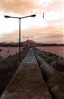 dailyPhoto6