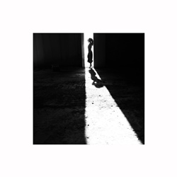 dailyPhoto35