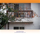 dailyPhoto9
