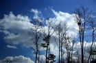 dailyPhoto33