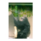 dailyPhoto8