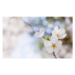 dailyPhoto9