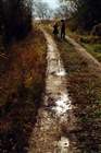 dailyPhoto31