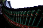 dailyPhoto19