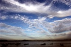 dailyPhoto25