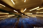 dailyPhoto32