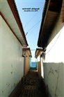 dailyPhoto23