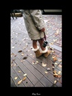 dailyPhoto9