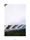 dailyPhoto21