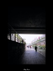 dailyPhoto8