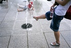 dailyPhoto6
