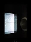 dailyPhoto23