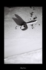 dailyPhoto38