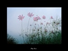 dailyPhoto30