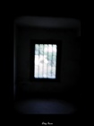 dailyPhoto18