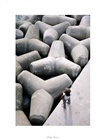 dailyPhoto40