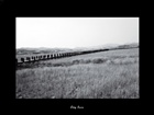 dailyPhoto28