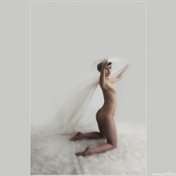 dailyPhoto38