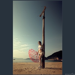 dailyPhoto15
