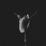 dailyPhoto24