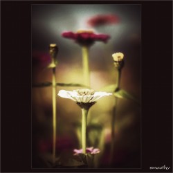 dailyPhoto28