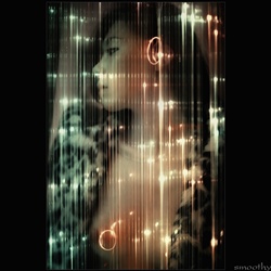 dailyPhoto39
