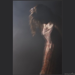 dailyPhoto10