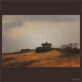 dailyPhoto28