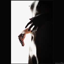 dailyPhoto31