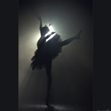 dailyPhoto7