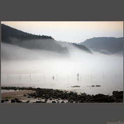 dailyPhoto33