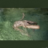 dailyPhoto8