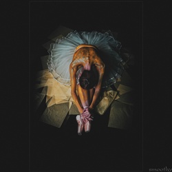 dailyPhoto6
