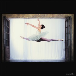 dailyPhoto15