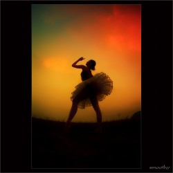 dailyPhoto40