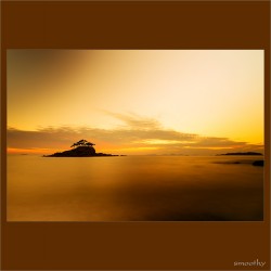 dailyPhoto21
