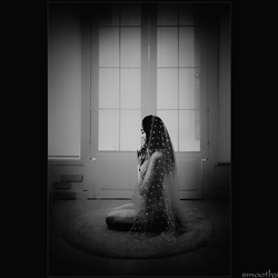 dailyPhoto20