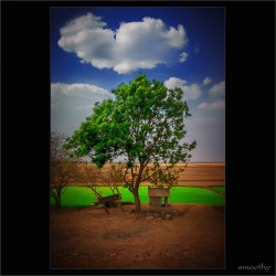 dailyPhoto39