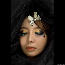 dailyPhoto6