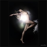 dailyPhoto7