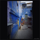 dailyPhoto23