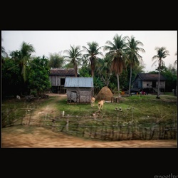 dailyPhoto9