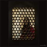 dailyPhoto37
