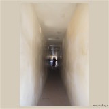 dailyPhoto35