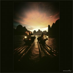 dailyPhoto1