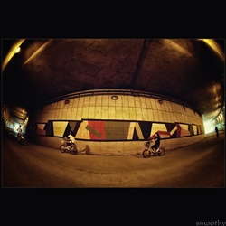 dailyPhoto8