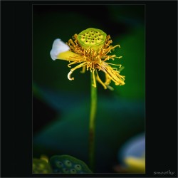 dailyPhoto4